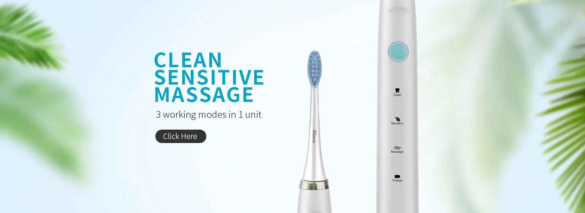 Electric Toothbrush Collection